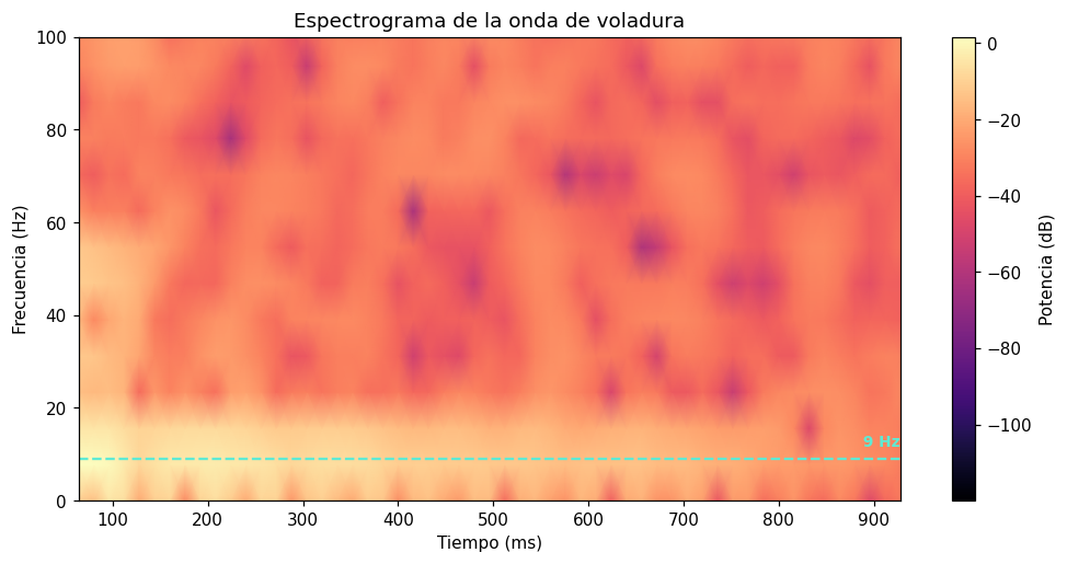 Espectrograma de la onda: la banda de 9 Hz persiste durante todo el evento mientras el contenido alto aparece y decae con cada pulso