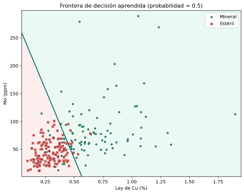 Frontera de decisión aprendida